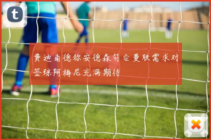 费迪南德称安德森符合曼联需求对签琼阿梅尼充满期待
