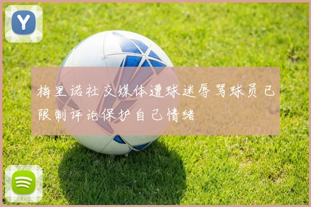 梅里诺社交媒体遭球迷辱骂球员已限制评论保护自己情绪